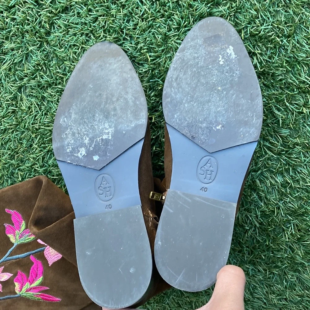 Ash “Jess Ter” Embroidered Suede Boots